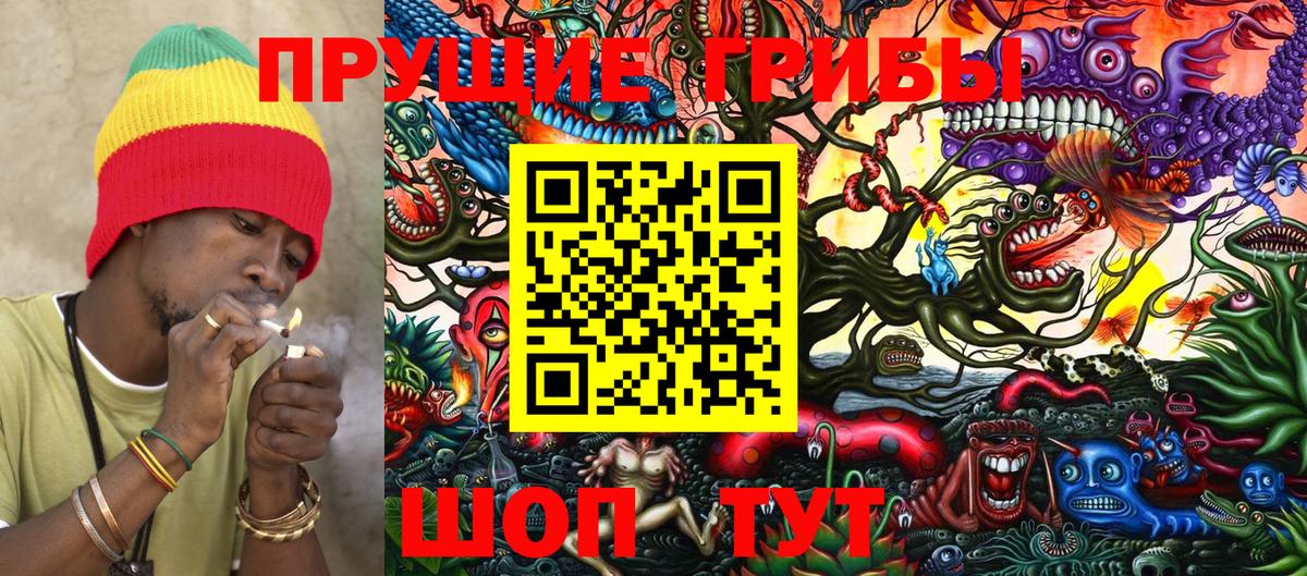 Псилоцибиновые грибы Cubensis  Вход с VPN  Александров 